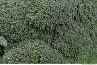 broccoli 0027